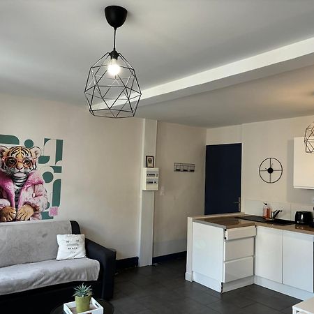 Spacieux, Climatisé, Quartier Calme, Proche Château, Le Cocon De Joy Carcasona Exterior foto